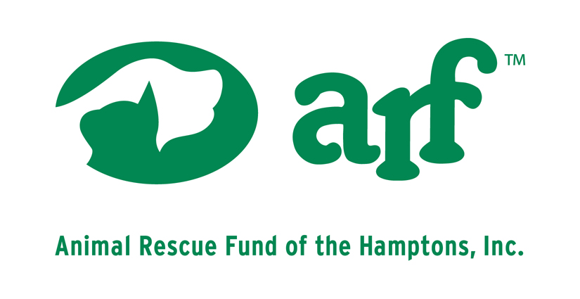 Introducing Dogs to Cats | Animal Rescue Fund of the Hamptons