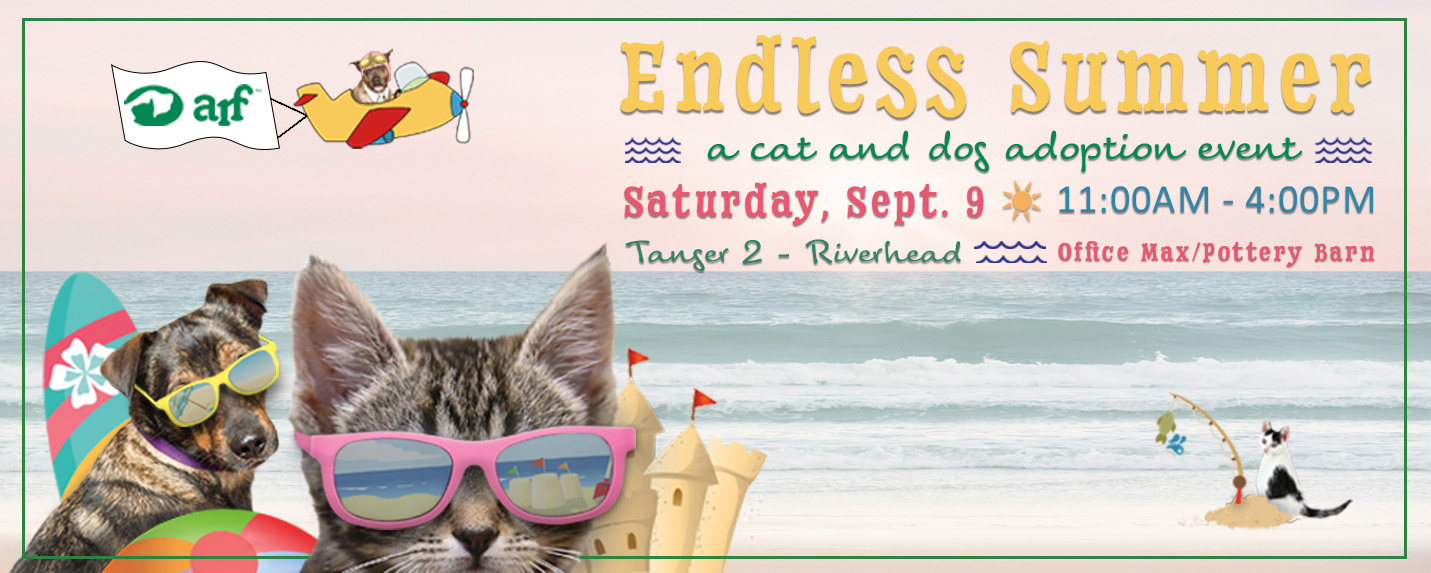 Animal Rescue Fund of the Hamptons